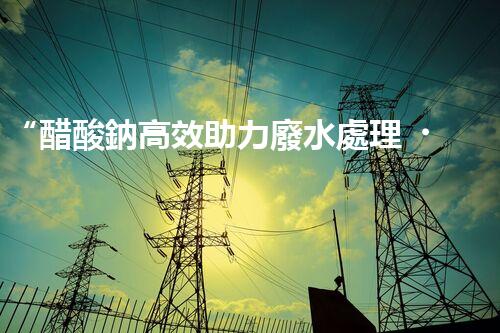 “醋酸鈉高效助力廢水處理，綠色環(huán)保新選擇”